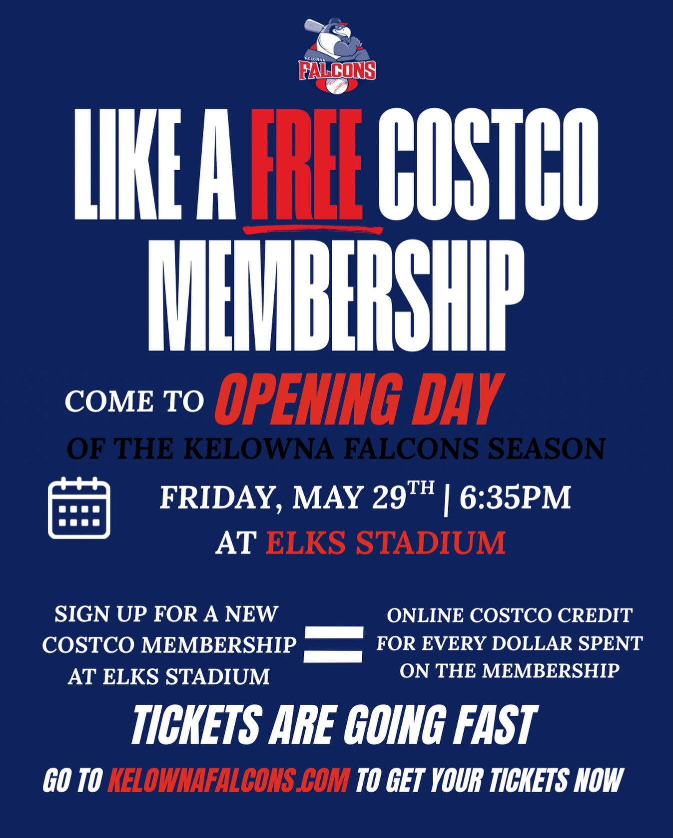 Costco Night